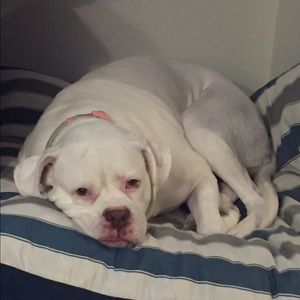 Meet your Posher, Kevin